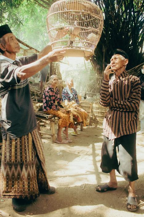 Elders gathered with woven bird cages under bamboo