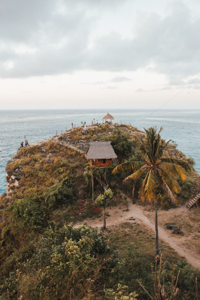 Palm trees and a timber hut on a headland above the ocean